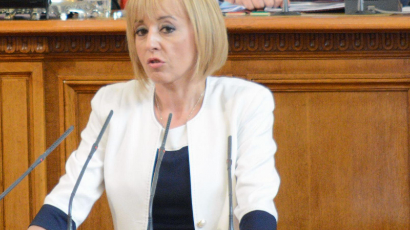 Мая Манолова посече депутатите: Не замитайте референдума! Има време за въвеждане на мажоритарен вот