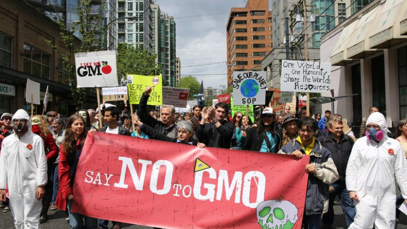 Хиляди хора участваха в световни протести против „Монсанто“ и ГМО (ВИДЕО)