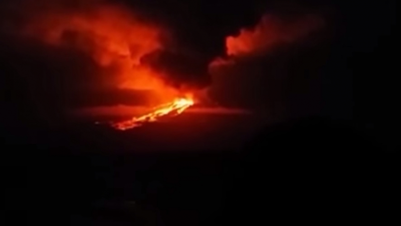 Вулкан изригна на Галапагос, заплашва уникалната екосистема (ВИДЕО)