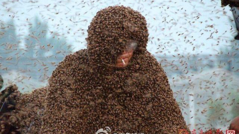 В името на рекорда: Китаец се покри със 110 кила пчели 
