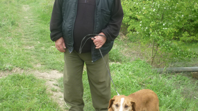 80-годишният Русан Вълчев: Ловната страст ми е на душата, а с кучета се занимавам цял живот