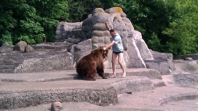 Мъж се сби с мечка в зоопарк и изчезна (СНИМКИ)