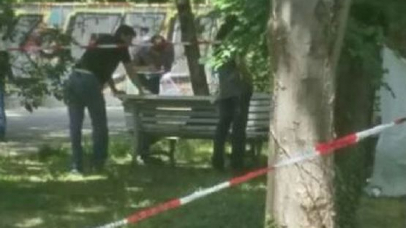Деветокласникът Георги убит с нож в гърдите от връстник