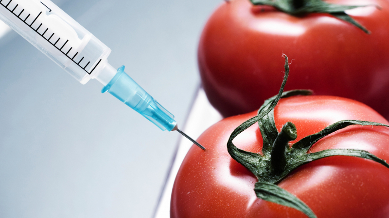 ЕП не позволява на страните сами да забраняват ГМО