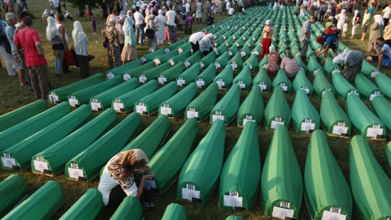 Диана Джонстън: Отричам геноцида в Сребреница и съм горда с това