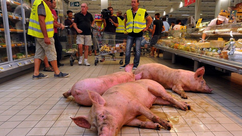 Протестиращите френски фермери пуснаха свине в супермаркетите (ВИДЕО)