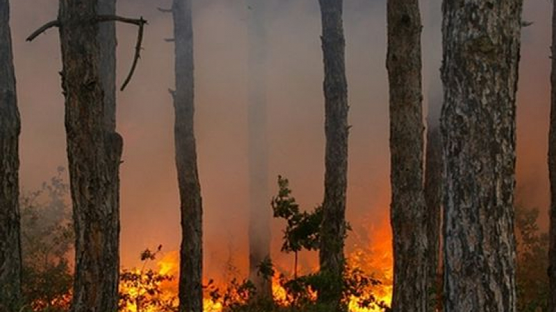 Пожарът край Бобошево е потушен