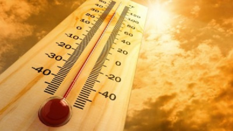 Рекордна жега в Търново - 40,2 градуса на сянка