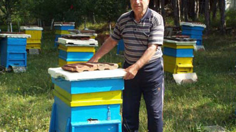 76-годишният пчелар Мустафа Мехмед: Медът е амброзия за душата и цяр за всичко