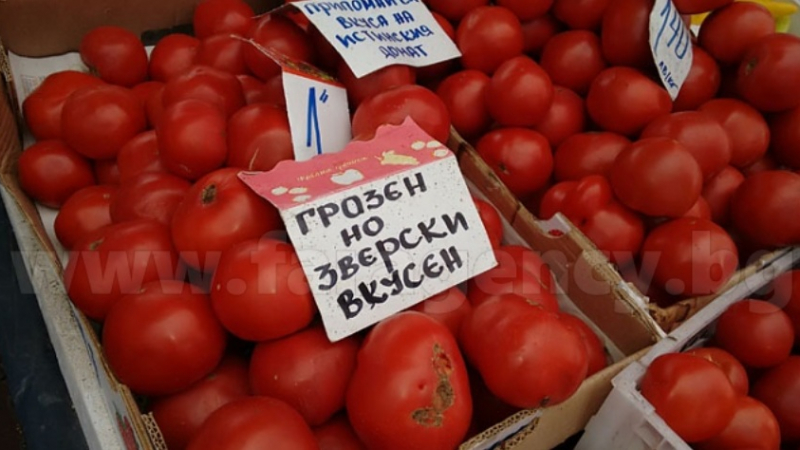 Хрумка: Грозни домати станаха хит на пазара в Бургас