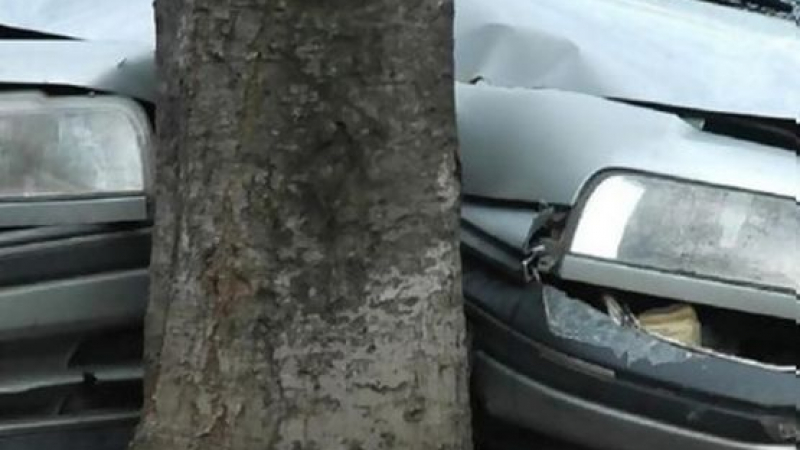 Млад шофьор се заби в дърво 