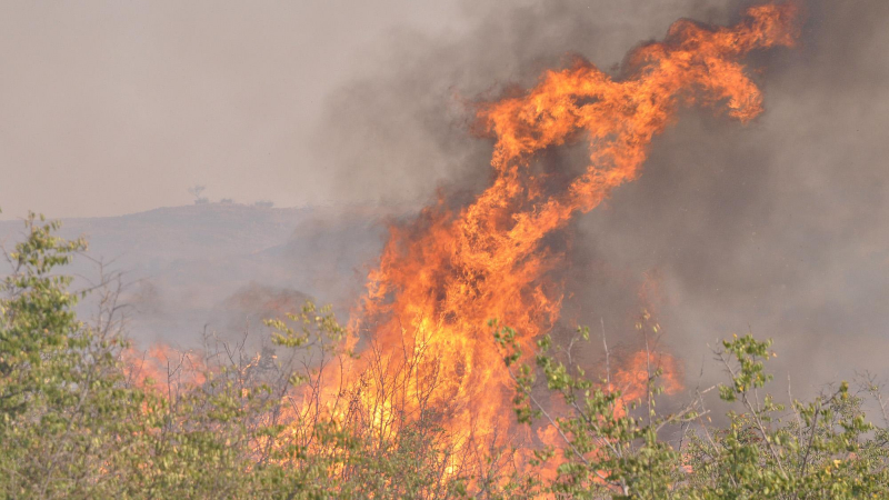 Пожарът край Лесово пълзи към Турция