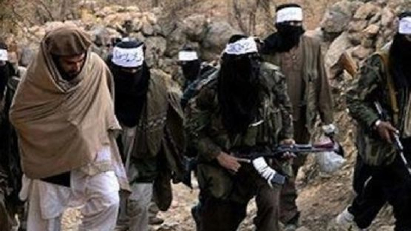 При въздушни удари са ликвидирани най-малко 14 талибани