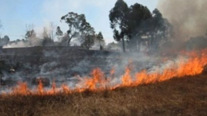 Овладяха пожара край Кочериново
