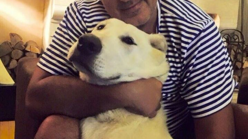 Бойко Борисов показа кучето си във Фейсбук