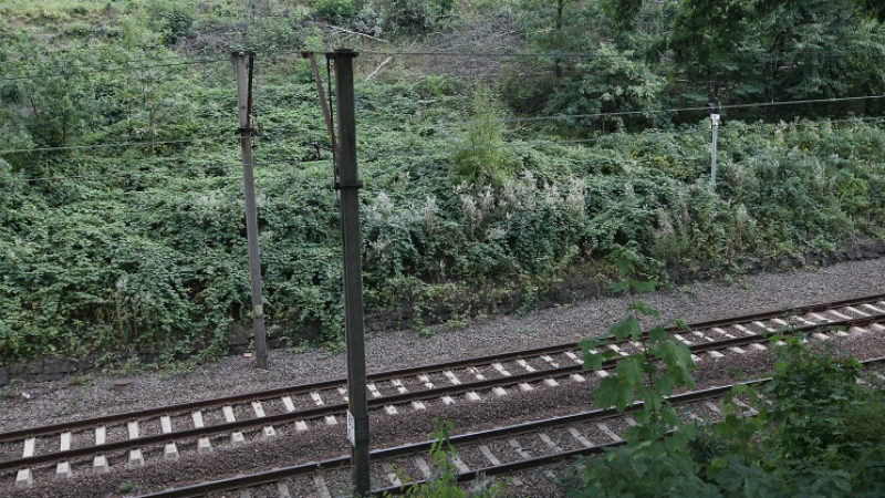 Мъж изскочи на релсите край Стражица - влакът го премаза