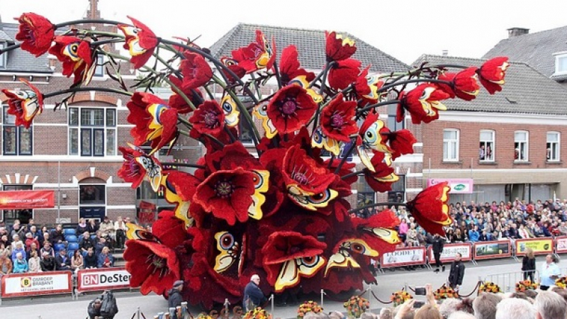 Невероятно дефиле на цветя в холандския град Зюндерт (ВИДЕО)