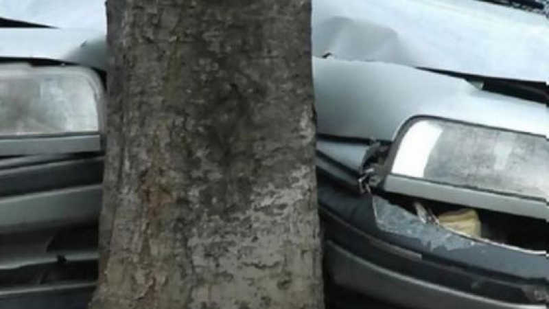 Ужас! Баща заряза в колата 5-годишния си син, возилото потегли само и се трясна в дърво