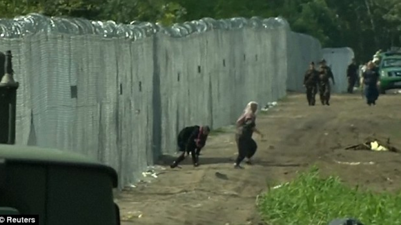 Камера запечата драматично влизане на бежанци в Унгария през дупка в оградата (ВИДЕО)