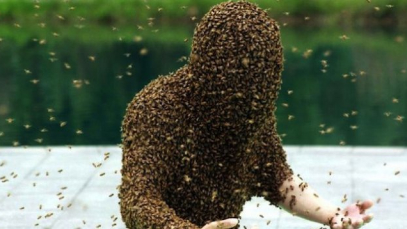 Рояк пчели нажили почти до смърт млада жена