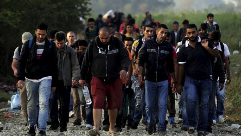 Над 100 хиляди нелегални мигранти от Близкия изток и Африка навлезли в Македония от Гърция