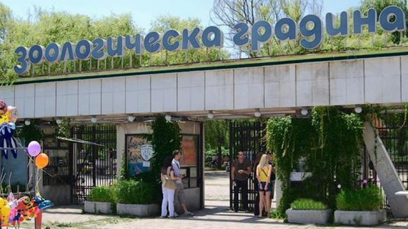 Зоологическата градина в София с безплатен вход днес 