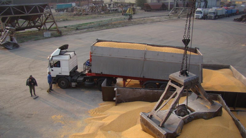 Изнесоха 1,8 млн. тона зърно през порт Варна 