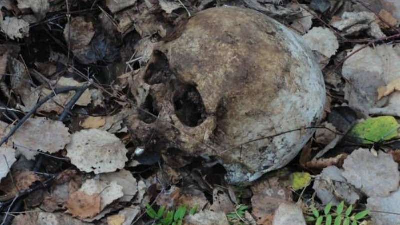 Човешки череп и кости откриха край Сандански