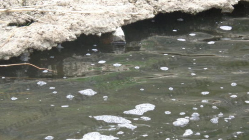 Паника в Дупница: Мъртва риба задръсти река Джерман
