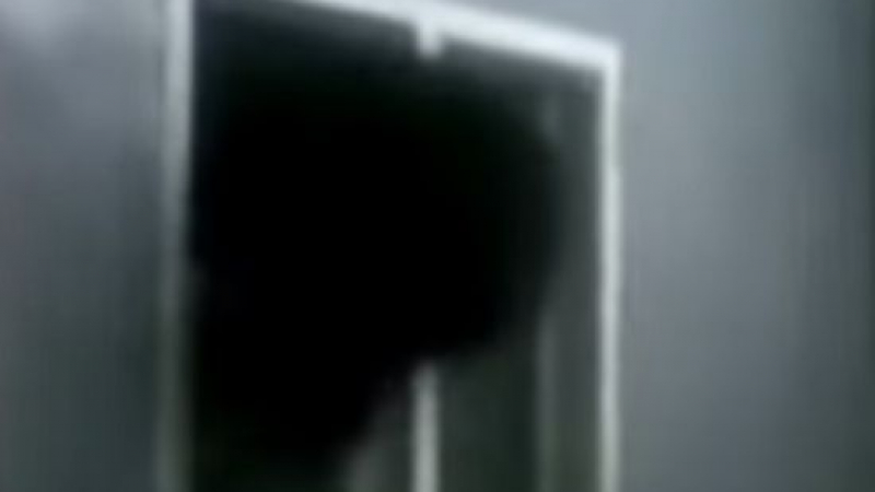 Мечок-крадец се заклещи в малко прозорче (ВИДЕО)