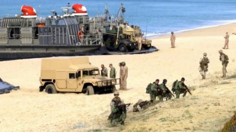 El Observador: Десант на НАТО се препъна на португалски плаж  (ВИДЕО)
