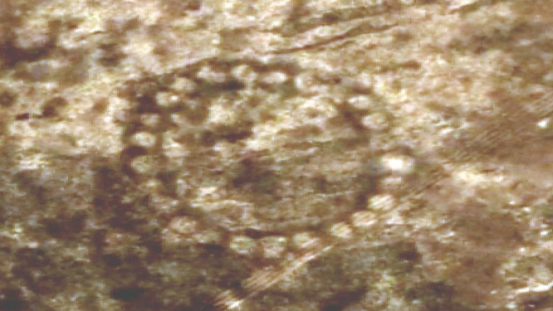 Сензация! Спътник на НАСА засне 260 гигантски геоглифа в казахстанската степ
