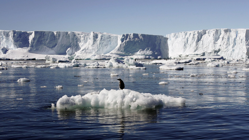 Шокиращ обрат! Ледът на Антарктида разби тезата за глобалното затопляне! 