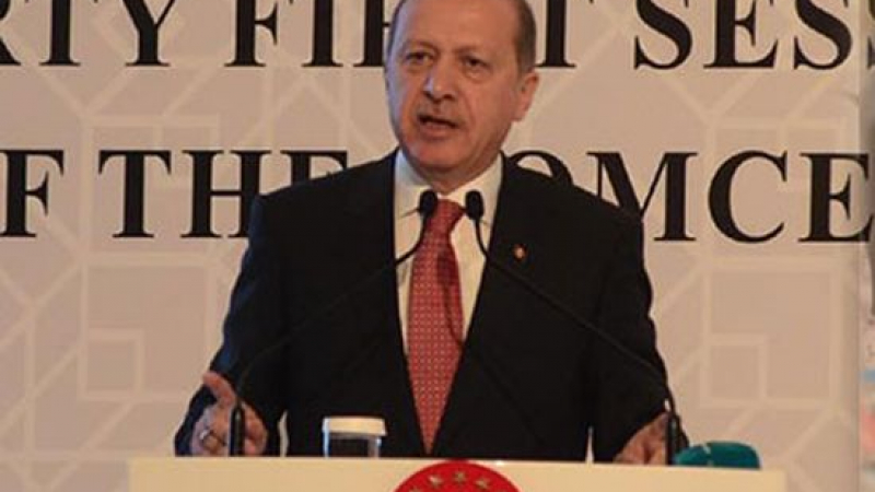 Ердоган усуква по килифаревски: Не знаехме, че самолетът е руски