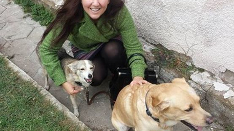 Добра жена помогна на Милица Гладнишка да намери кучето си