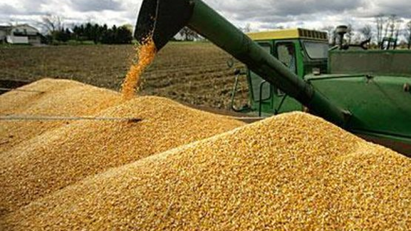 Турция в паника! Търси алтернатива на руската пшеница