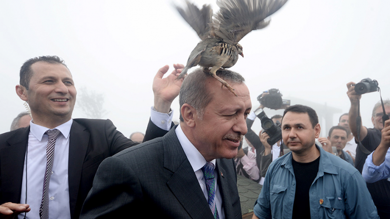 Politico: Турция и ДАЕШ имат едни и същи регионални врагове