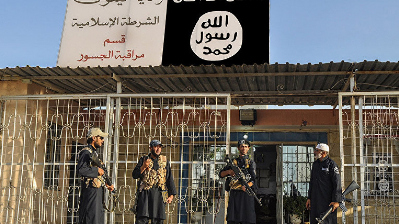 Център IHS: За година „Ислямска държава” се свила териториално с 14%