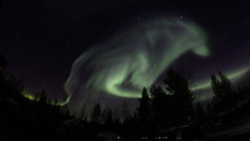 В нощното небе над Швеция се появи сияен вълк (СНИМКА)