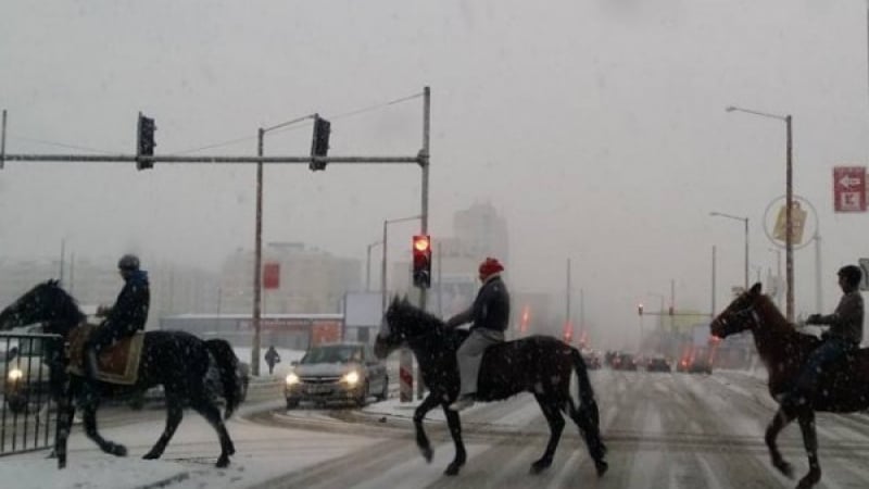 Каубоите са живи и върлуват в „Люлин”! (СНИМКА)