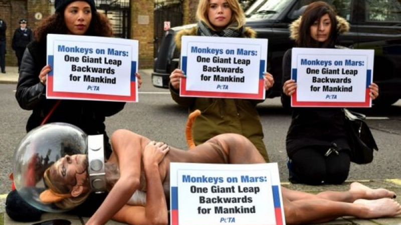 Порноактриса се просна гола на тротоара пред руското консулство в Ню Йорк