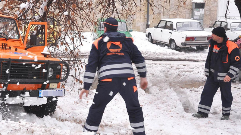 Снежният ад в София! Дървета блокираха улици, оголени жици падат върху тролей