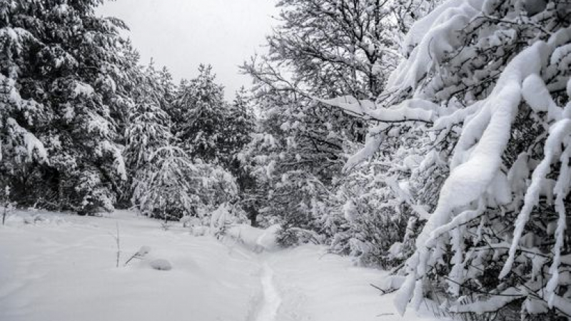 Туристи с дете попаднаха в снежен капан край Търново