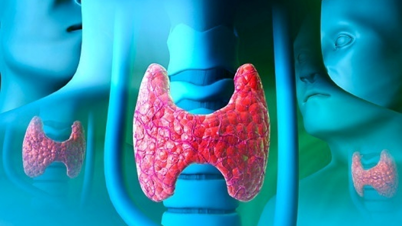 12 признака, че щитовидната ви жлеза не е наред