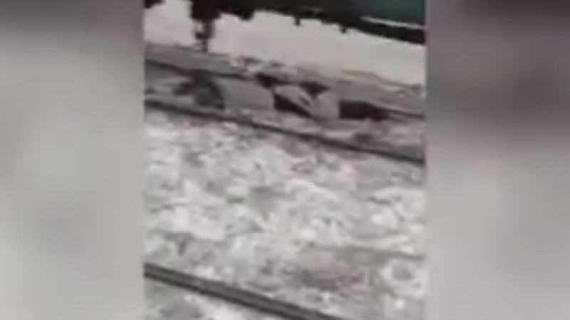 Очевидци заснеха гибелта на мъж под колелетата на влак (ВИДЕО 18+)