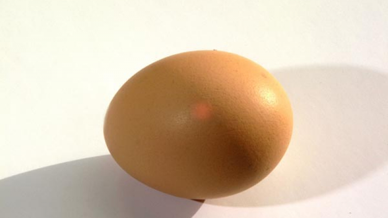 Само 1 яйце може да ви спаси от смъртоносни уроки
