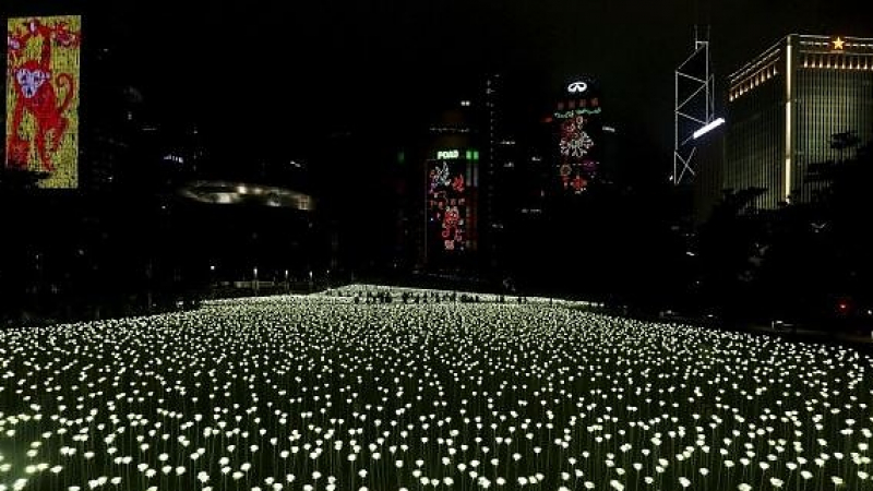 25 000 бели рози &quot;светнаха&quot; в Хонконг по случай Свети Валентин (СНИМКИ/ВИДЕО)