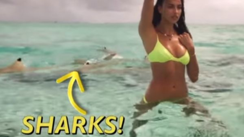 Акули за малко да разкъсат Ирина Шейк докато се снима по бански (ВИДЕО)