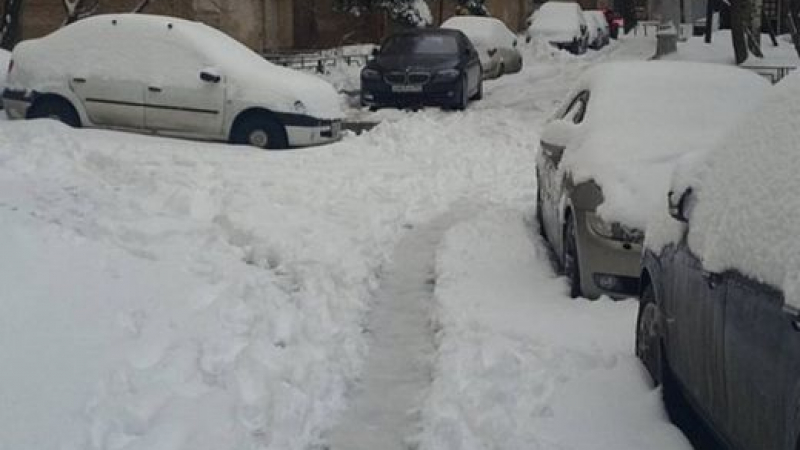 Рекордни снеговалежи затрупаха Москва (ВИДЕО)