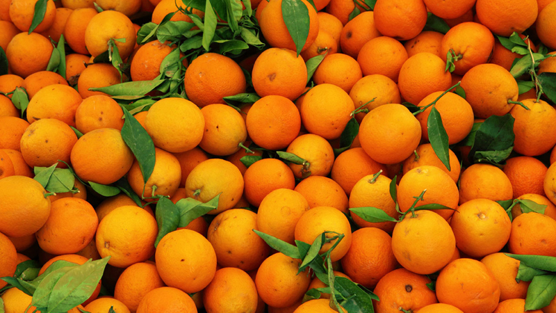 Връщаме на Гърция 19 тона опасни портокали 